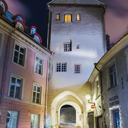 Διαμέρισμα Housing Old Town Homes - 1 Bdr In Pikk Jalg