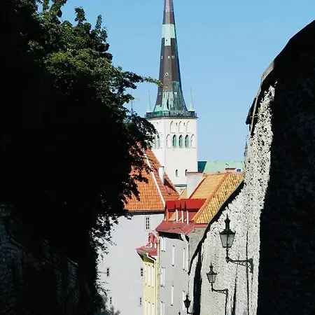 Housing Old Town Homes - 1 Bdr In Pikk Jalg * Tallin